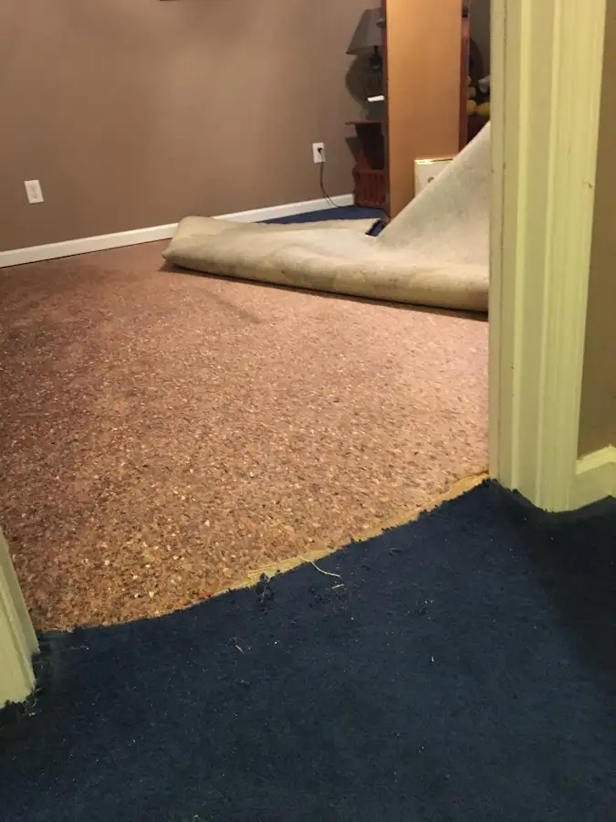 Carpet pad removal revealing water damage during Water Mitigation Services in Hopkins