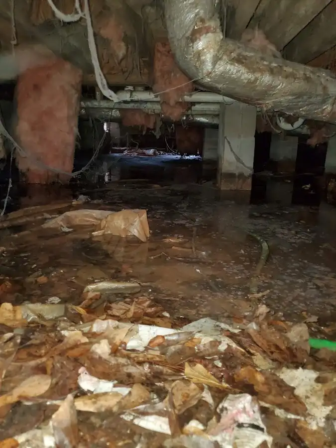 Crawl space flood assessment for Commercial Water Damage Restoration in Hopkins