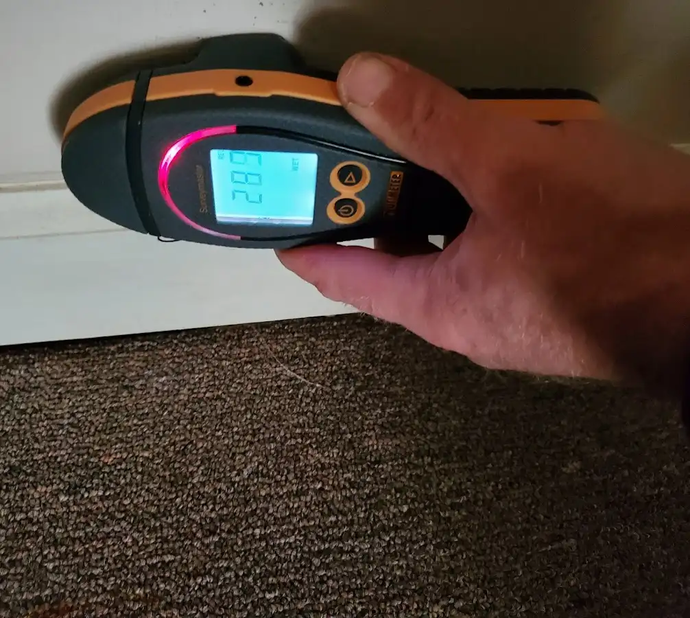 Moisture detection at baseboard during Burst Pipe Cleanup in Hopkins